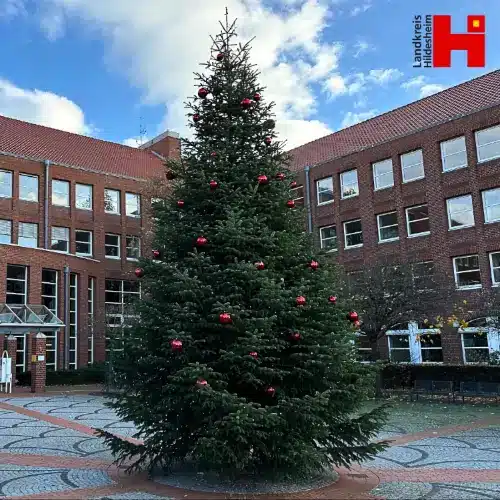 Ein 10 Meter Baum von Deutschle vor dem Landkreis Hildesheim